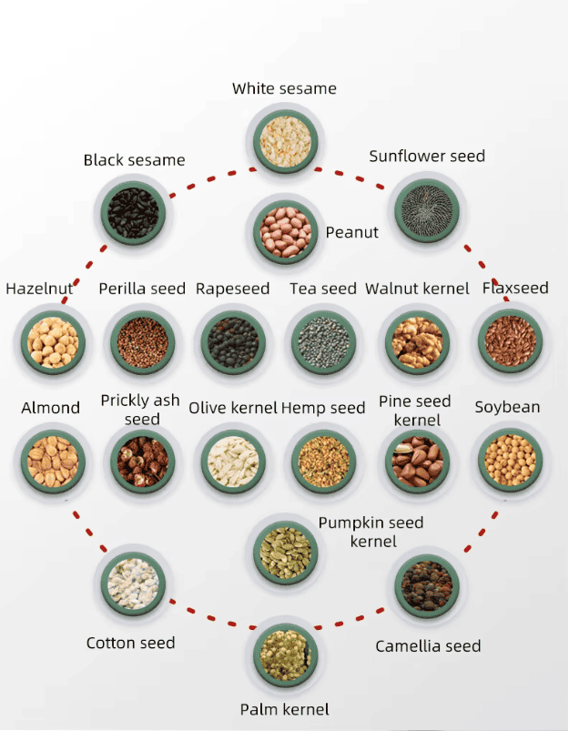ზეთის ცივი და ცხელი დაწურვის დანადგარი HL-T3 / ზეთის საწური მანქანა 8კგ/სთ