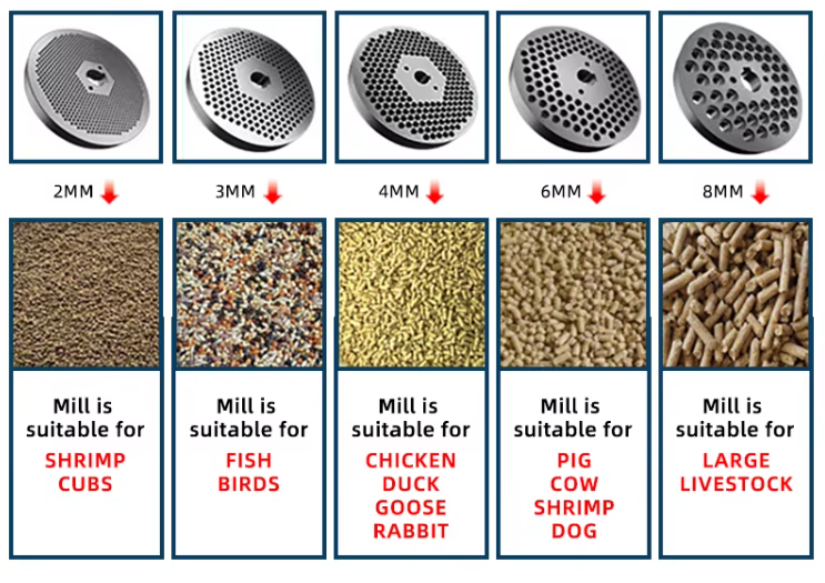 გრანულატორი (გრანულის) კორმის დასამზადებელი დანადგარი / პალეტის დასამზადებელი მანქანა TF-210 / 1000-2000კგ/სთ