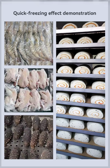 შოკური გაყინვის მაცივარი -45°  / Blast Freezer / სწრაფი გაყინვის ინდუსტრიული დანადგარი 250ლ