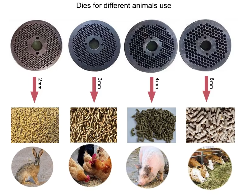 გრანულატორი (გრანულის) კორმის დასამზადებელი დანადგარი / პალეტის დასამზადებელი მანქანა TF-120 / 200-500კგ/სთ