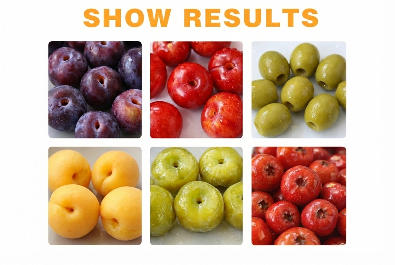 ხილის კურკის ამოსაღები მანქანა ალუბლის / ქლიავის / ატმის / გარგარის ავტომატური გამოსაკურკი დანადგარი მოდელი: AQH-YT600-B | ბრენდი: TCA