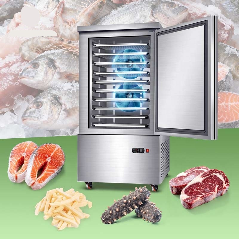 შოკური გაყინვის მაცივარი -45°  / Blast Freezer / სწრაფი გაყინვის ინდუსტრიული დანადგარი 250ლ