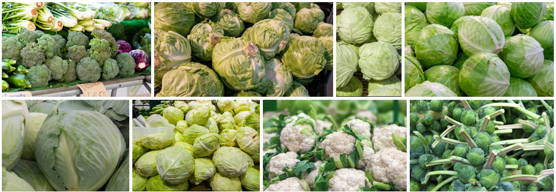 კომბოსტოს ბროკოლის მრგვალი სლათის შესაფუთი ავტომატური დანადგარი / მრგვალი ფორმის ბოსტნეულის ხილის შესაფუთი აპარატი