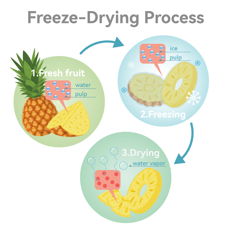 სუბლიმირებული შრობის პროფესიონალური დანადგარი ავტომატური მართვის ლიოფილიზატორი 7 კგ-იანი გაყინვით საშრობი მანქანა ხილისა და ბოსტნეულის გადასამუშავებლად