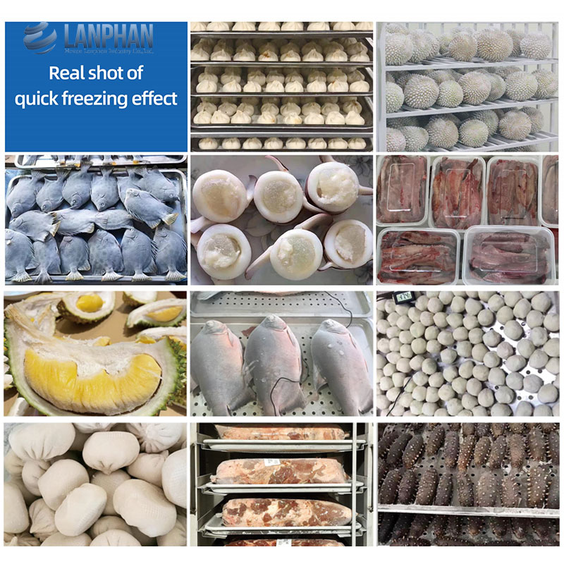 შოკური გაყინვის მაცივარი -45° / Blast Freezer / სწრაფი გაყინვის ინდუსტრიული დანადგარი 150ლ