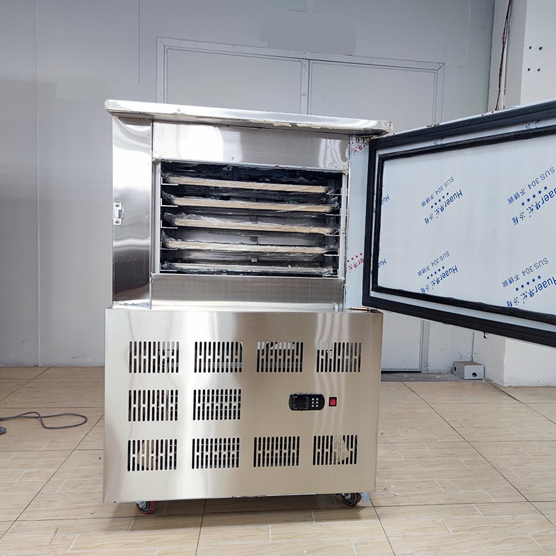 შოკური გაყინვის მაცივარი -80° / Blast Freezer / სწრაფი გაყინვის ინდუსტრიული დანადგარი 150ლ