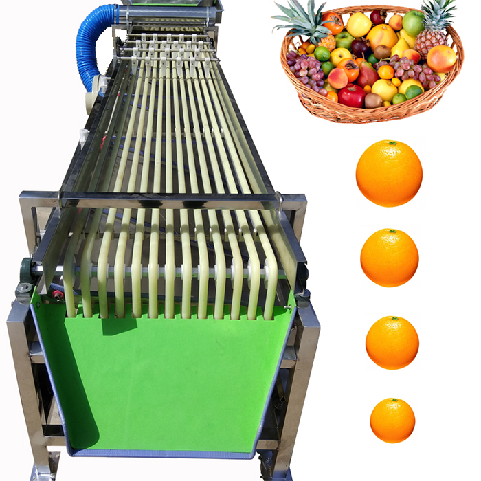 პროფესიონალური ავტომატური მოცვის, ხილისა და ბოსტნეულის დახარისხების მანქანა (2 მ | 9 ორბიტა)