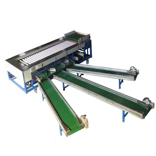 ხილისა და ბოსტნეულის ავტომატური დახარისხების მანქანა (ზომის მიხედვით)