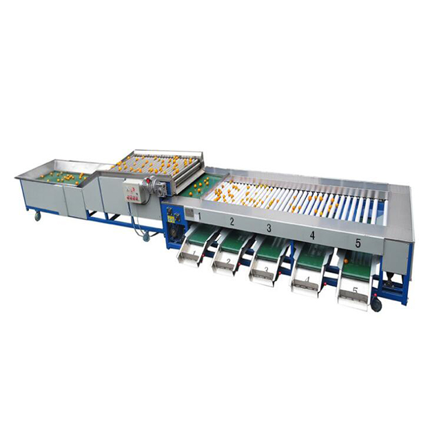 ხილისა და ბოსტნეულის ავტომატური დახარისხების მანქანა (ზომის მიხედვით)