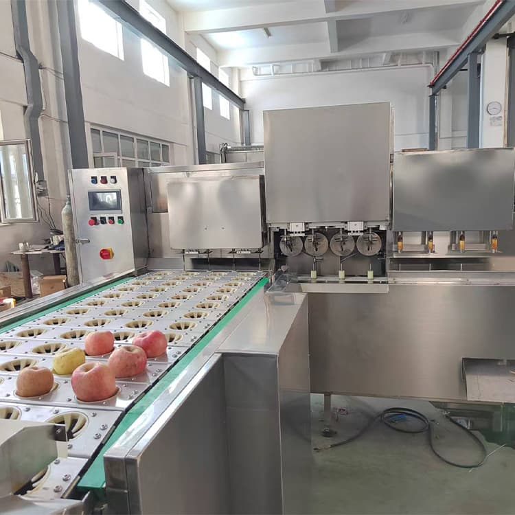 ვაშლის და მსხლის ავტომატური სარეცხი, გამთლელი და გულის ამომღები სამრეწველო კონვეიერული მანქანა – 600–800 კგ/სთ წარმადობა