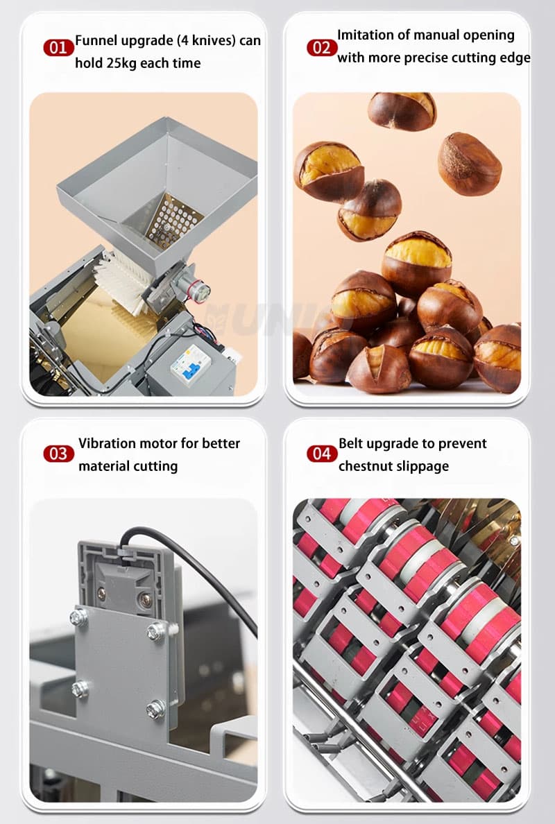 წაბლის გასახსნელი ორპირიანი მანქანა | წაბლის ავტომატური ჭრილობის დანადგარი