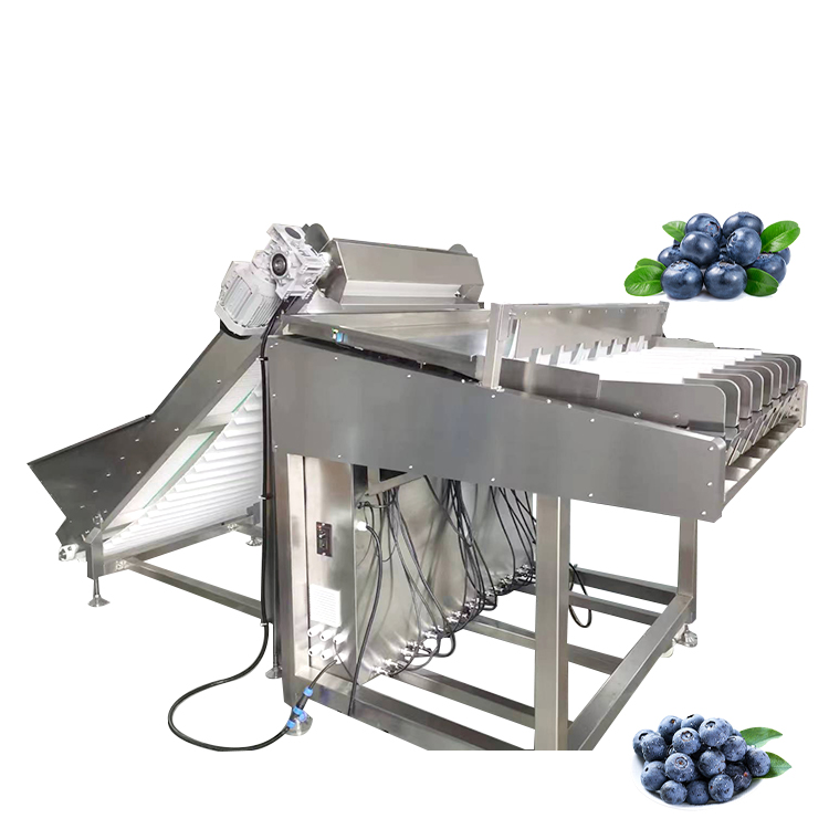 მოცვის ავტომატური შესაფუთი ხაზი PH-DL0912L8 | საწონი-დამაფასოებელი კონვეიერული სისტემა 32-48 ცალი/წთ