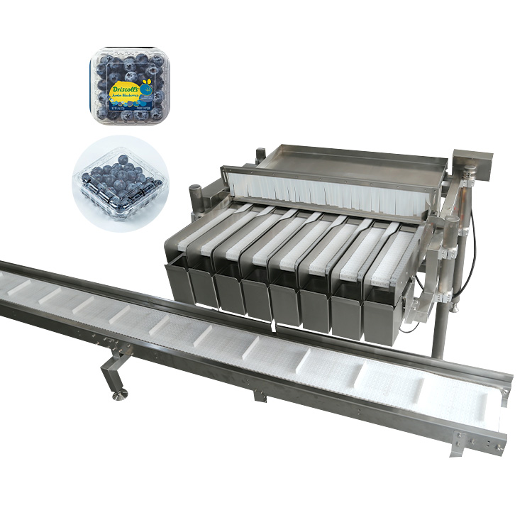 მოცვის ავტომატური შესაფუთი ხაზი PH-DL0912L8 | საწონი-დამაფასოებელი კონვეიერული სისტემა 32-48 ცალი/წთ