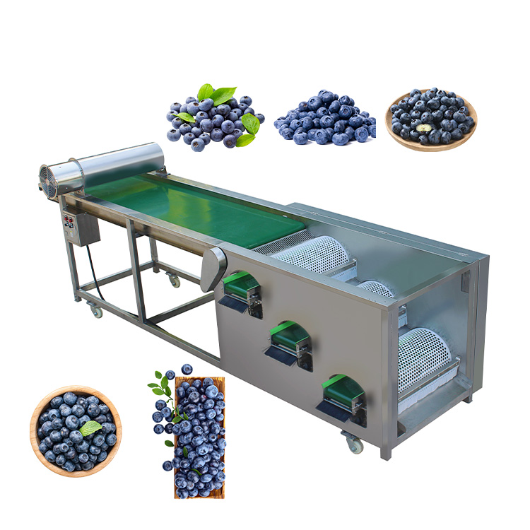 მოცვის დასახარისხებელი მანქანა PH-300A | ზომის კალიბრაცია 300 კგ/სთ | 3-4 კლასი