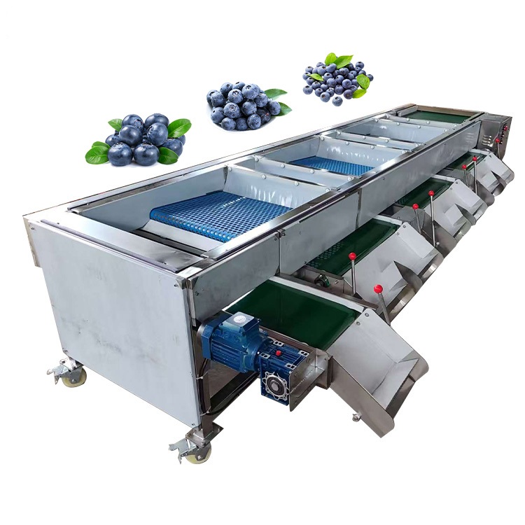 მოცვის კალიბრაციის დანადგარი HT-LM500 | ზომის დამხარისხებელი კონვეიერი 500-600 კგ/სთ