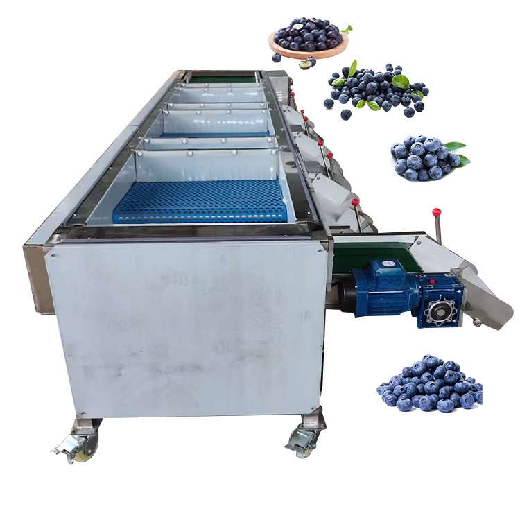 მოცვის კალიბრაციის დანადგარი HT-LM500 | ზომის დამხარისხებელი კონვეიერი 500-600 კგ/სთ