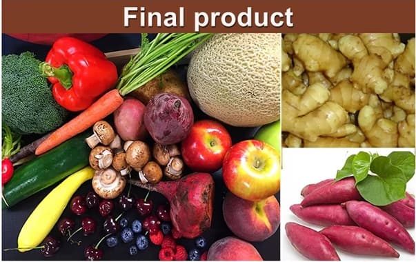 ბოსტნეულის და ხილის ჯაგრულა სისტემით რეცხვის და გაფცქვნის მანქანა | კარტოფილის, ჯანჯაფილის, ტაროს, ბოლოკის საწმენდი დანადგარი