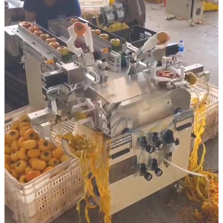 ხურმის ავტომატური სათლელი კონვეიერი PH-APM2 — 40 ცალი წუთში, ორმაგი არხის სისტემა