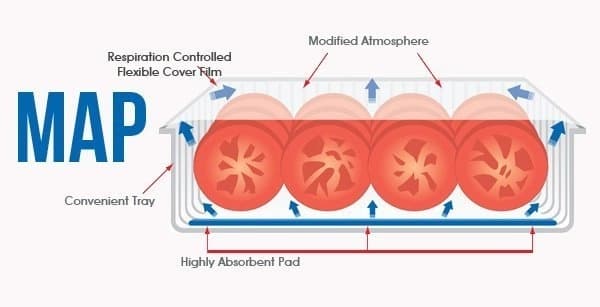 MAP უჯრის დალუქვის ავტომატური მანქანა KBT-450 | ვაკუუმი + გაზის შევსება | 300-400 უჯრა/სთ